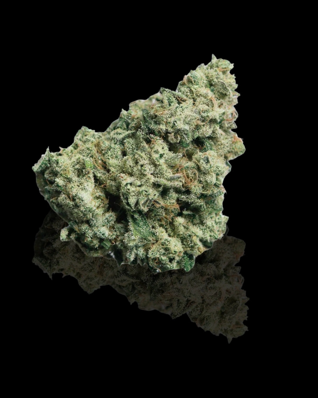 Channel nº5 Hydro Flor CBD by Cannataste