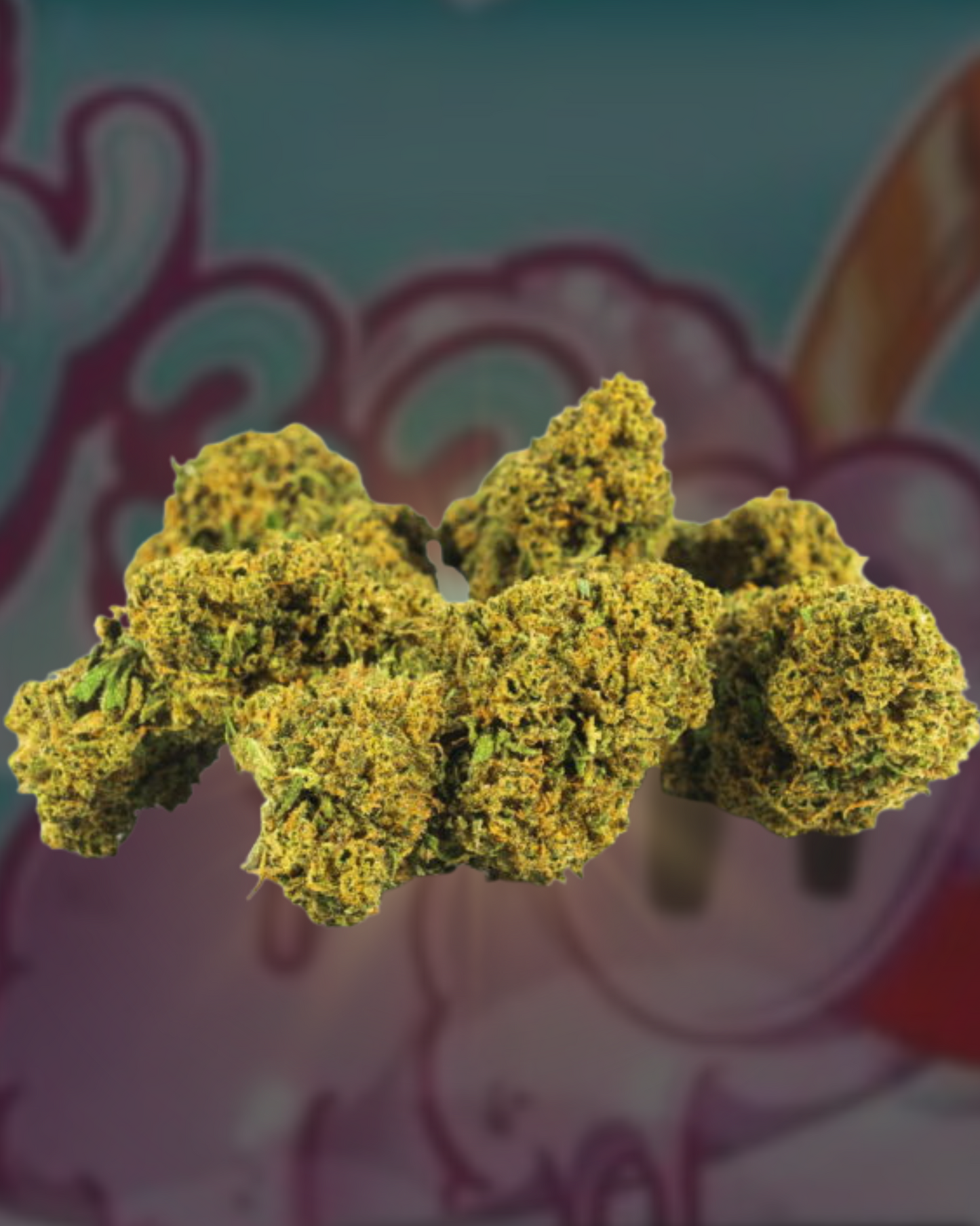 ONLYCBD Flor Gelato 33