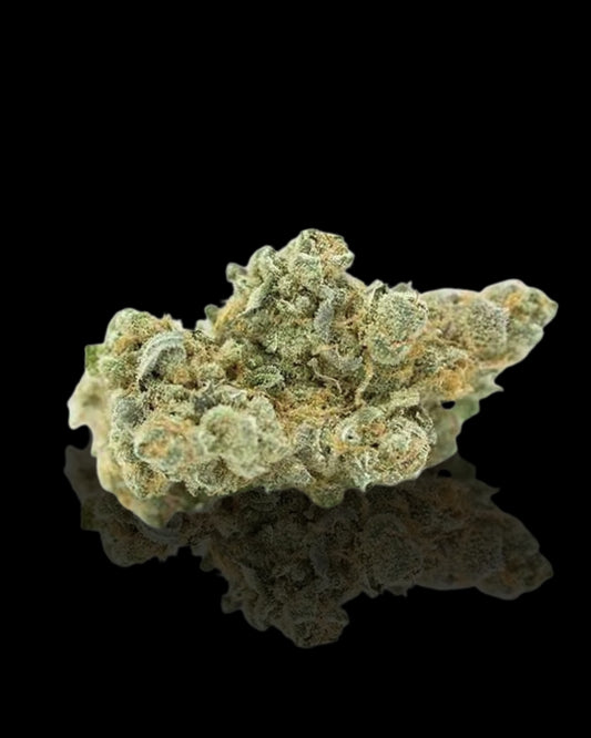 🎃GELATO 41 HYDRO🎃