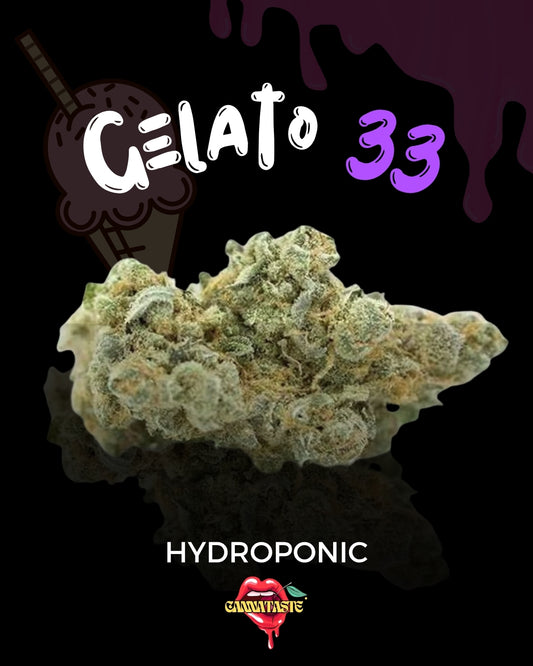 🎃GELATO 41 HYDRO🎃