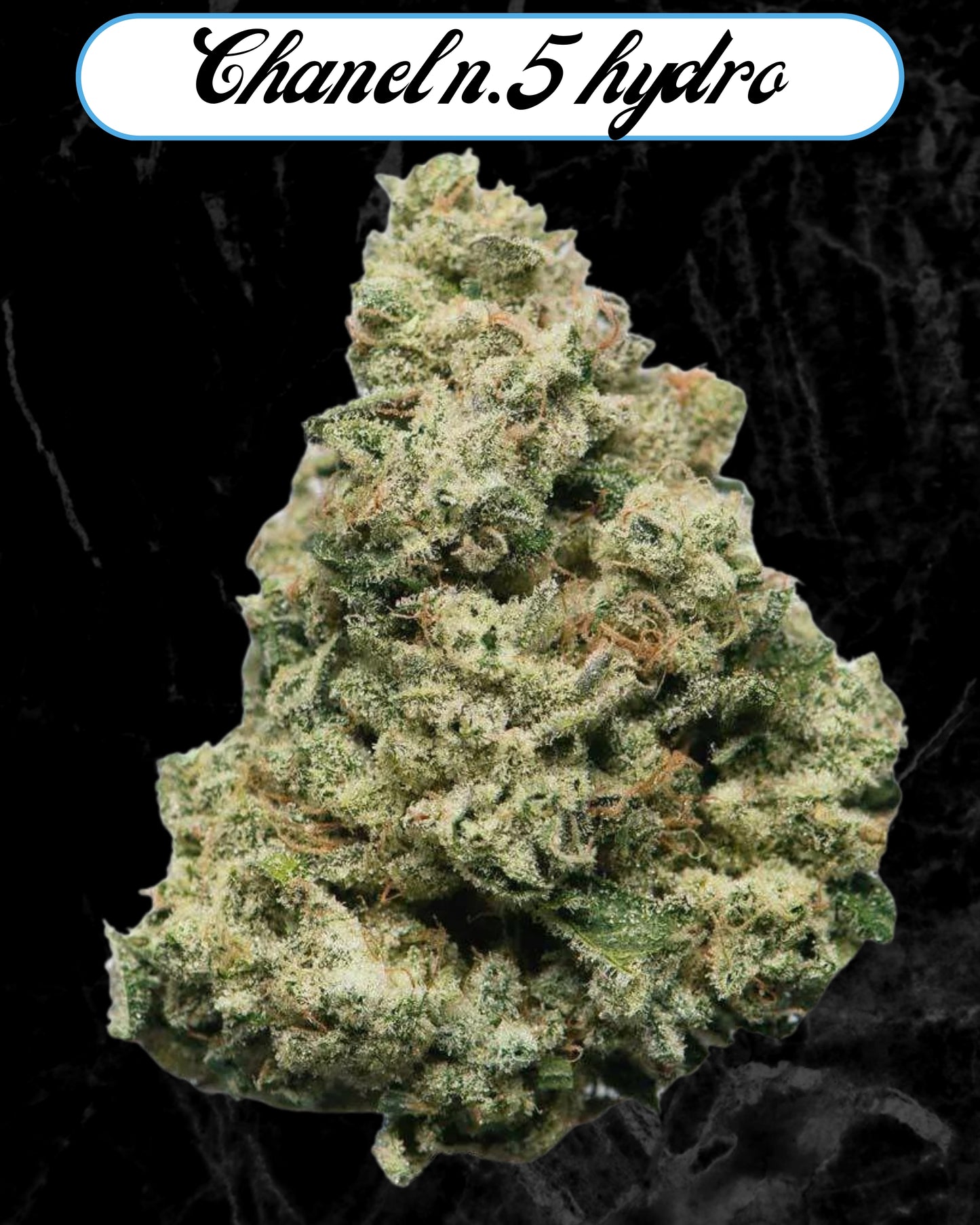 Channel nº5 Hydro Flor CBD by Cannataste
