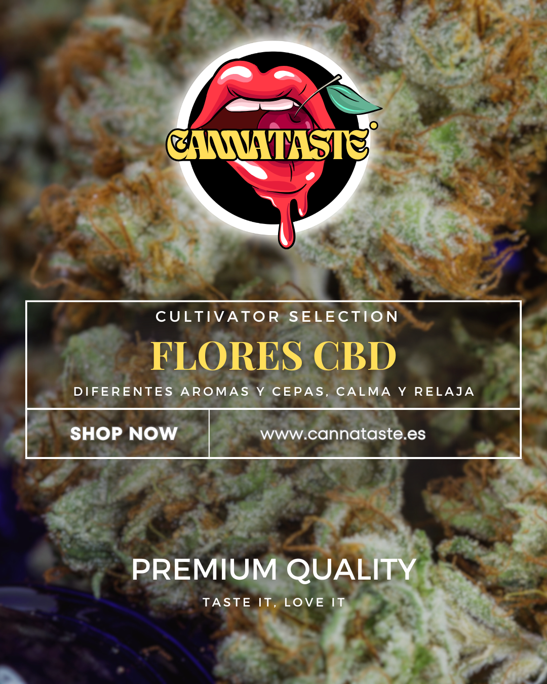 FLORES CBD
