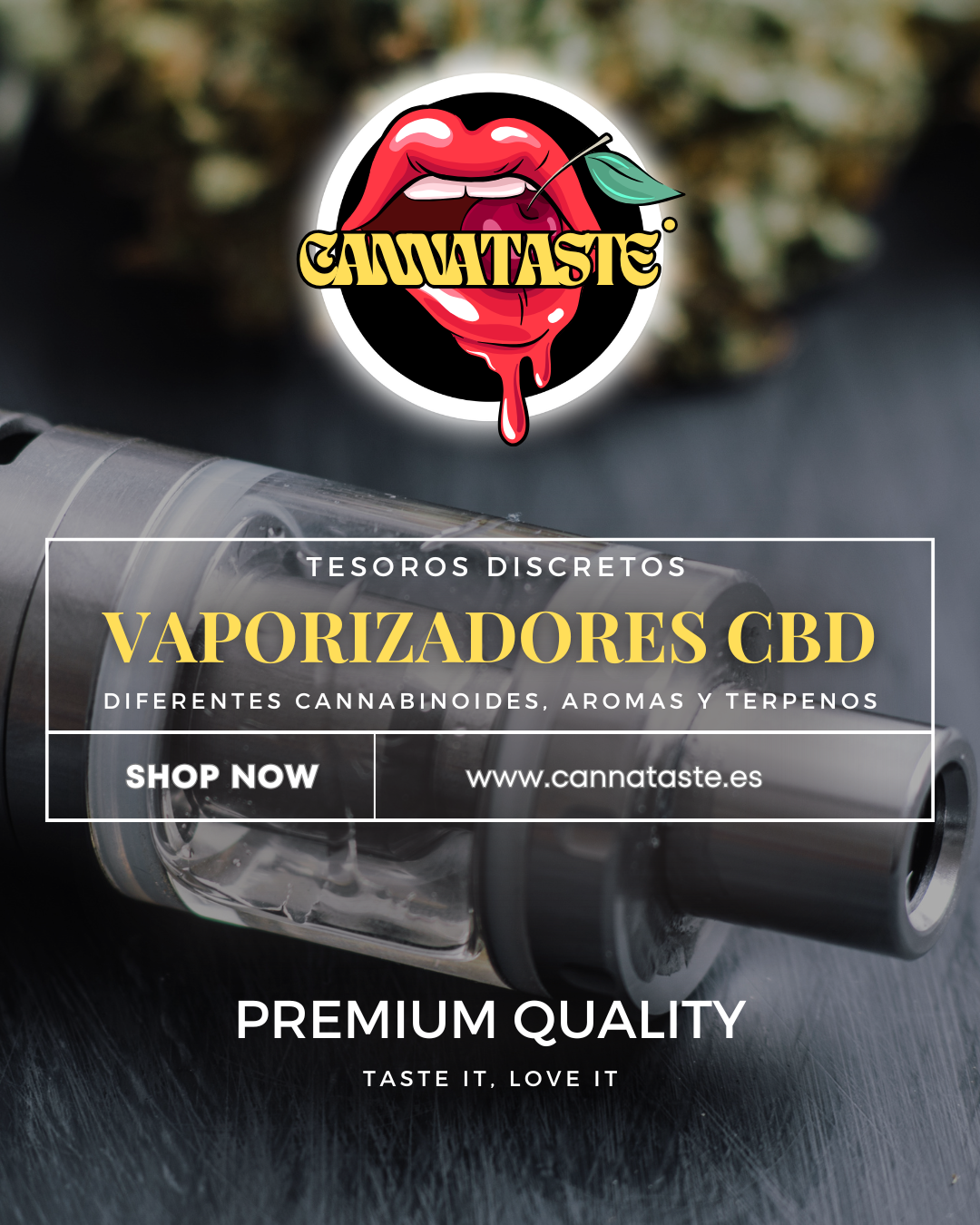 VAPE/POD CBD
