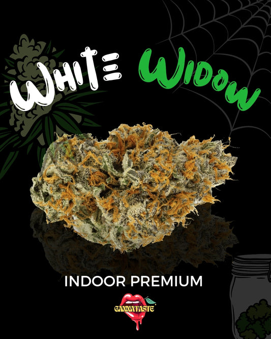 WHITE WIDOW INDOOR