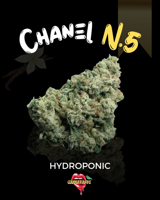 CHANEL N.5 HYDRO