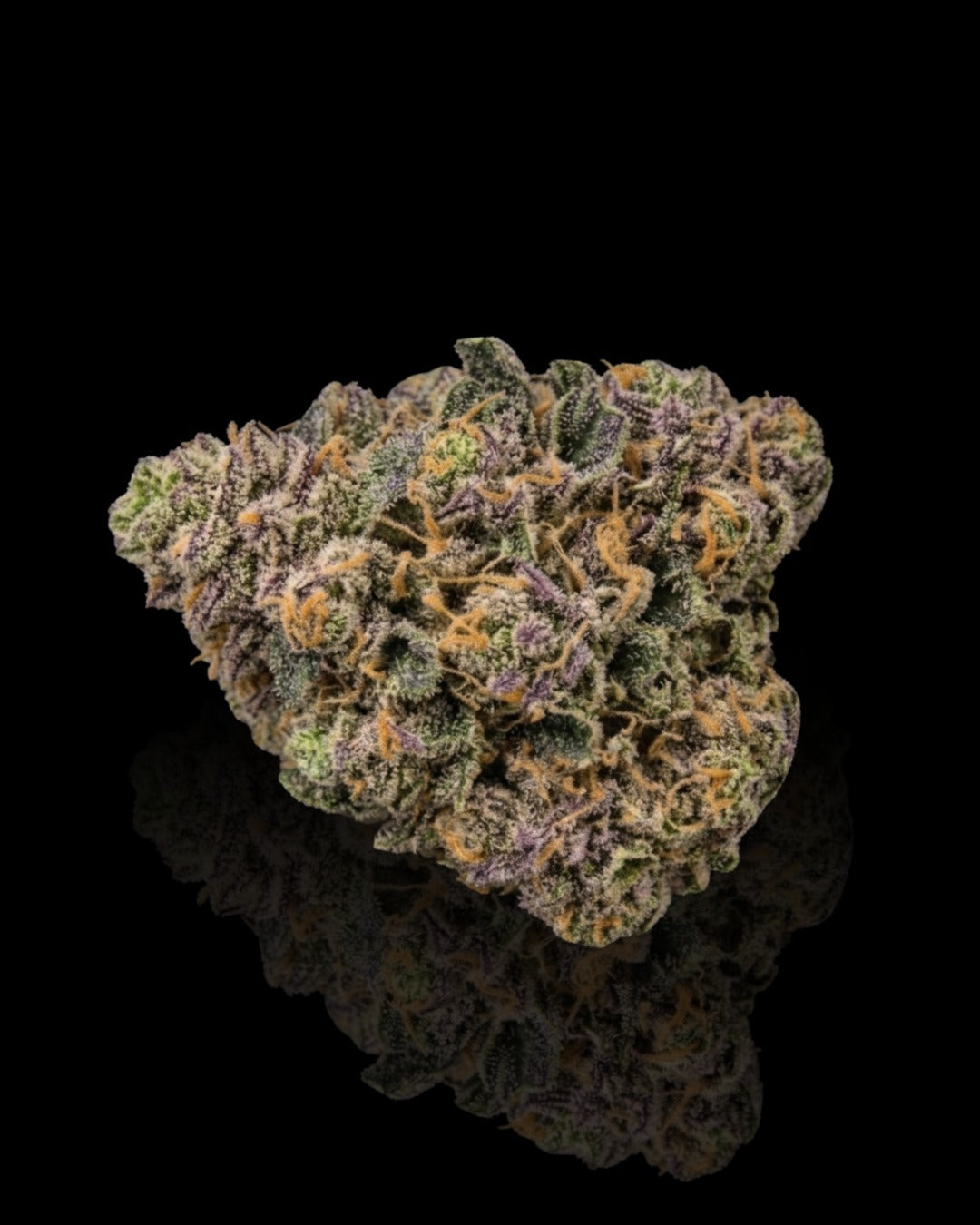 PURPLE QUEEN HYDRO