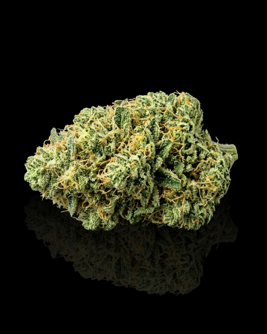 AMNESIA HAZE HYDRO