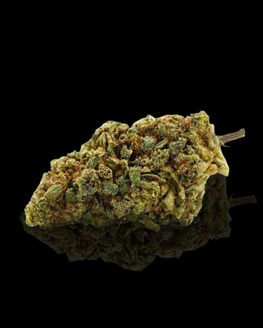WILD LEMON INDOOR