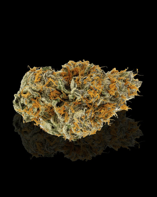 WHITE WIDOW INDOOR