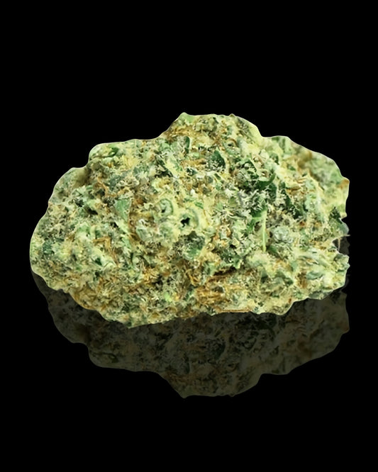 BUBBLEGUM INDOOR